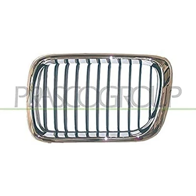 Afbeelding van Radiateurgrille PRASCO BM0142123