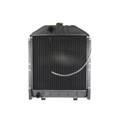 Afbeelding van Thermotec Radiateur D7AG042TT
