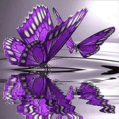 Afbeelding van OWN4B Kruissteek Kits Gestempeld, Paarse Vlinders Gedrukt Patroon 11CT 14,2x14,2 inch DIY Borduurpakket (Butterfly)