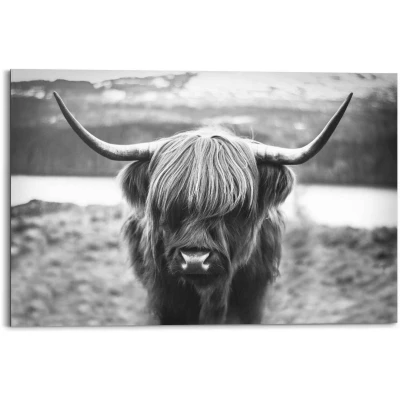 Afbeelding van Reinders! Artprint Schotse hooglander stier hoorns hoogvlakte