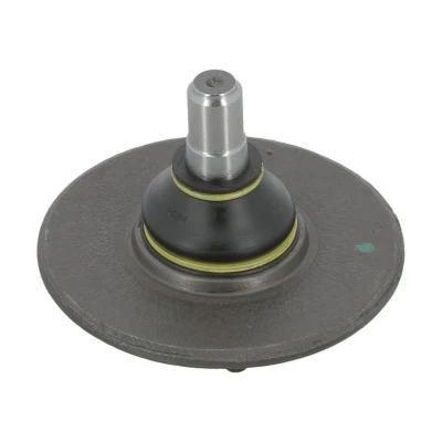 Afbeelding van Moog Fuseekogel RE BJ 7906