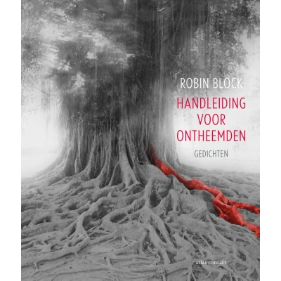 Afbeelding van Handleiding voor Ontheemden