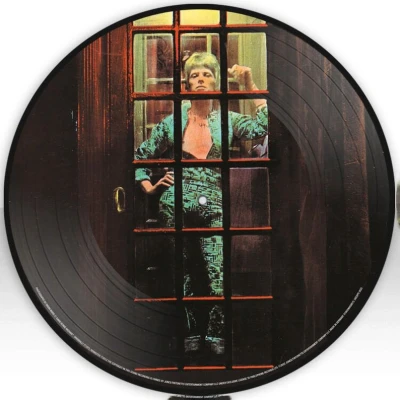 Afbeelding van David Bowie Rise and Fall of Ziggy Stardust (LP)