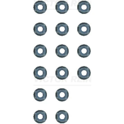 Afbeelding van Pakkingset, klepsteel REINZ 12 13109 01