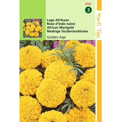 Afbeelding van 2 stuks Tagetes erecta nana Golden Age