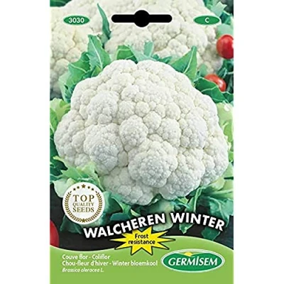 Afbeelding van Germisem Walcheren Winter 5 Bloemkool Zaden 0.5 g