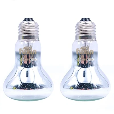Afbeelding van ANCLLO 2 stks Transparante Reptiel Verwarmingslampen, Duurzame Infrarood Warmte Lamp Huisdier Licht voor Reptielen en Amfibieische Hagedis Schildpad Spider Snake Chameleon 220 230V (75W)