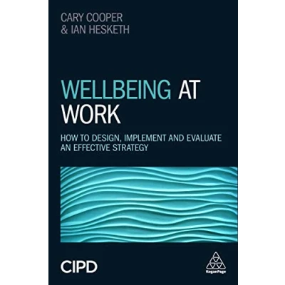 Afbeelding van Wellbeing at Work: How to Design, Implement and Evaluate an Effective Strategy