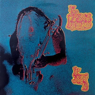 Afbeelding van Bevis Frond It Just Is (CD)