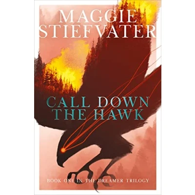 Afbeelding van the Dreamer Trilogy 1. Call Down Hawk