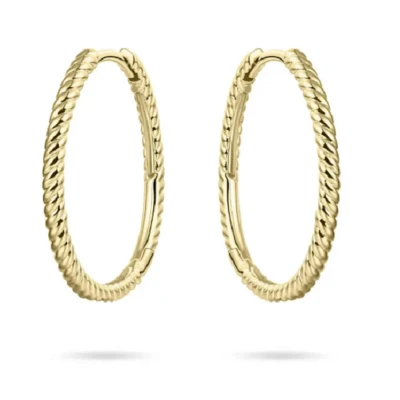 Afbeelding van Schitterende 14 Karaat Gouden Klapoorringen Gedraaid 20 mm. Oorringen Oorbellen Hoops Jonline