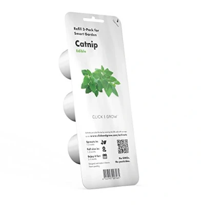 Afbeelding van click and grow Catnip plant pods