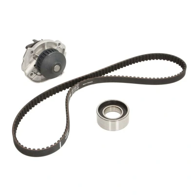 Afbeelding van Ina Distributieriem kit incl.waterpomp 530 0206 30