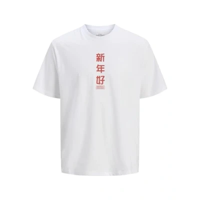Afbeelding van Jack &amp; Jones Jorsnake CREW NECK Tshirt print, Heren, Maat: Medium, Bright white print:dragon