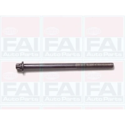 Afbeelding van Cilinderkopbout set FAI AutoParts B1050