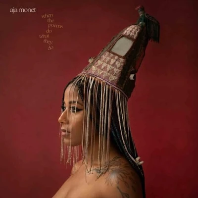 Afbeelding van Aja Monet When The Poems Do What They (2 LP)