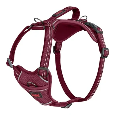 Afbeelding van HALTI Anatomy hondenharnas met handvat biedt uw hond bewegingsvrijheid voor comfortabel lopen. 3 bevestigingspunten riem, neopreen gewatteerd, verstelbaar en reflecterend (maat Small, magenta)