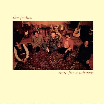 Afbeelding van Feelies Time For a Witness (LP)