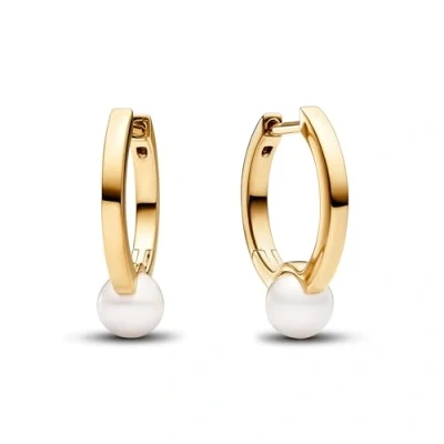 Afbeelding van Pandora Timeless Oorknop met 14 Karaat Gouden Plating 263170C01