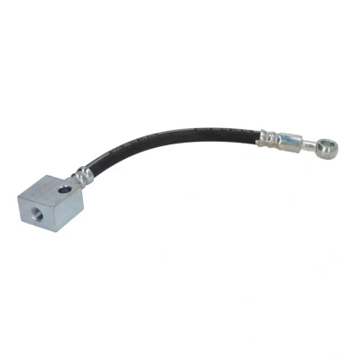 Afbeelding van Delphi Diesel Remslang LH7065