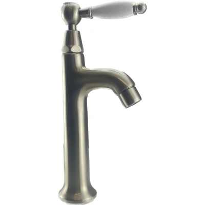 Afbeelding van PB klassieke fonteinkraan met witte hendel koud water rvs 1208853932