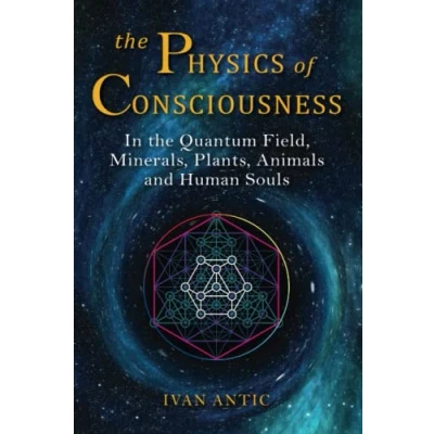 Afbeelding van the Physics of Consciousness: In Quantum Field, Minerals, Plants, Animals and Human Souls