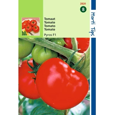 Afbeelding van 2 stuks Tomaten Pyros F1