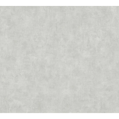 Afbeelding van AS Creation Terra 38922 2 / 389222 Grijs