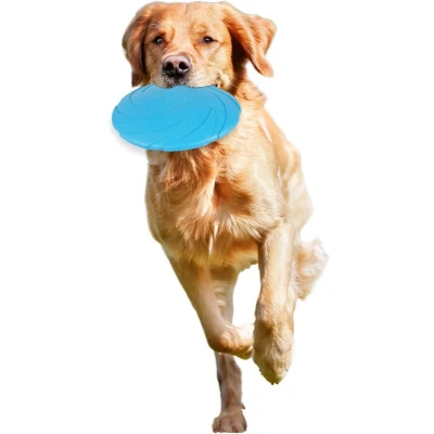 Afbeelding van Flamingo Hondenspeelgoed Rubber Morrison Frisbee Blauw 22 x 3 cm