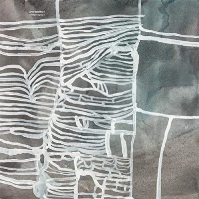 Afbeelding van Arve Henriksen Composograph