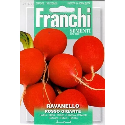 Afbeelding van Radijs, Ravanello Rosso Gigante