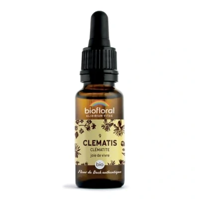 Afbeelding van 09 Clematis Bosrank Bio Demeter