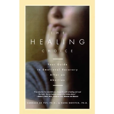 Afbeelding van The Healing Choice: Your Guide to Emotional Recovery After an Abortion