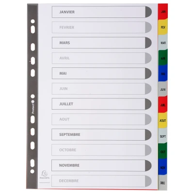 Afbeelding van Bedrukte Tabbladen A4 12 delig Jan dec 11 gaats Frans Assorti