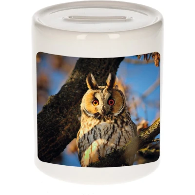 Afbeelding van Foto ransuil spaarpot 9 cm Cadeau uilen liefhebber Spaarpotten