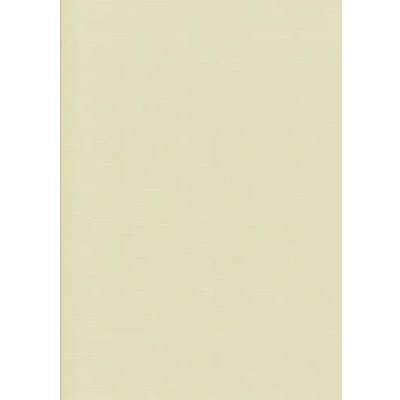 Afbeelding van Linnen kaarten papier A5 Cardstock 21 x 14,8cm 240 grams karton (Zalm, 100)