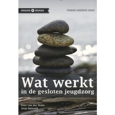 Afbeelding van Wat werkt