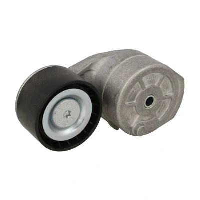 Afbeelding van SKF Spanrol (poly) V riem VKMCV 56011