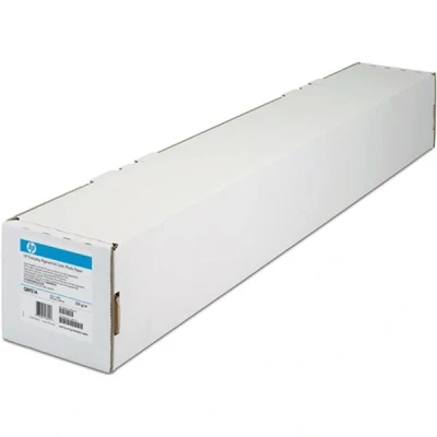 Afbeelding van HP Q8759A Professional fotopapier Zijdeglans Rol 300 gr/m² 1 stuks