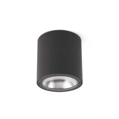 Afbeelding van Faro Lighting Goz LED Outdoor Opbouw Plafond Licht Donkergrijs IP54