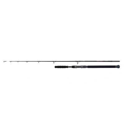 Afbeelding van Shimano Beastmaster Catfish Meervalhengel 1.85m (200g)