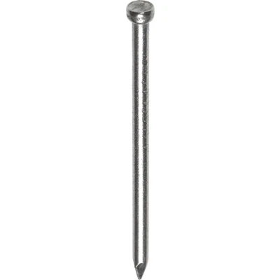 Afbeelding van Draadnagel verzinkt 3.0x65mm vk (5kg)