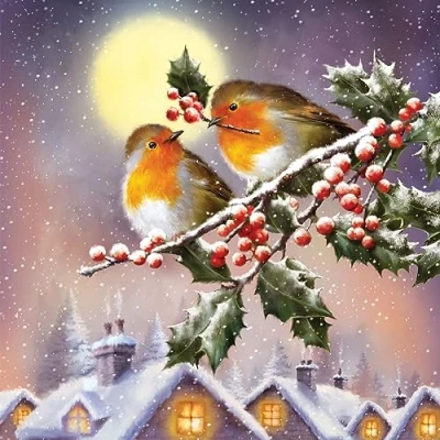 Afbeelding van 20 servetten Kerstmis vogels in maanlicht als tafeldecoratie. Papieren met motief. Ook voor decoupage en servettentechniek 33x33cm