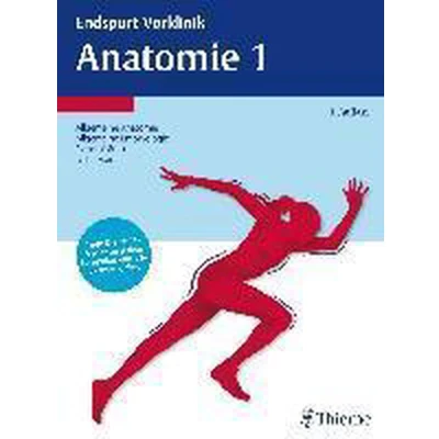 Afbeelding van Endspurt Vorklinik: Anatomie 1
