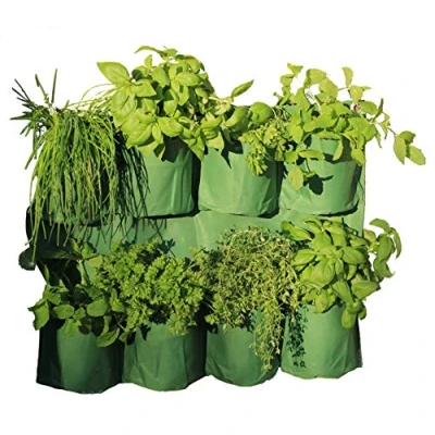 Afbeelding van Haxnicks Glazen bel in planter300101 kruidenwandplantenbak, groen, 25 x 30 150 cm