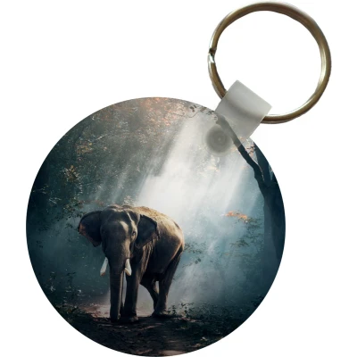 Afbeelding van Sleutelhanger Olifant dieren Licht Bos Natuur Wilde Plastic Rond Uitdeelcadeautjes