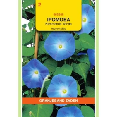 Afbeelding van Ipomoea Klimmende Winde Heavenly Blue