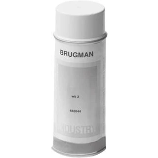 Afbeelding van Brugman spuitbus lak RAL