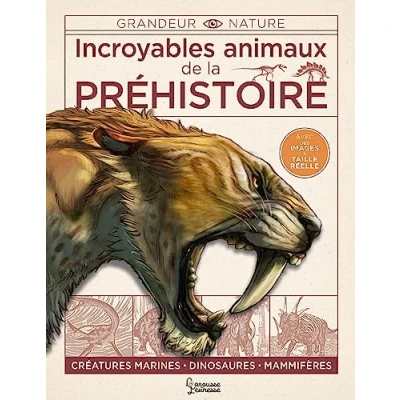 Afbeelding van ISBN 9782036055766 boek Frans 128 pagina&#039;s