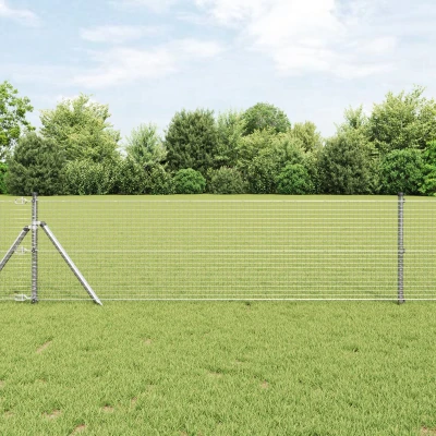 Afbeelding van vidaXL Gelaste Draadhek 0.6x100 m Geoliede Staal